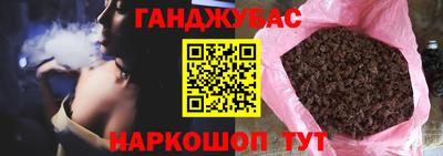 индика Шелехов