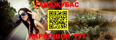 индика Шелехов