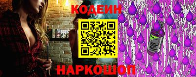 индика Шелехов