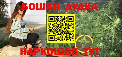 индика Шелехов