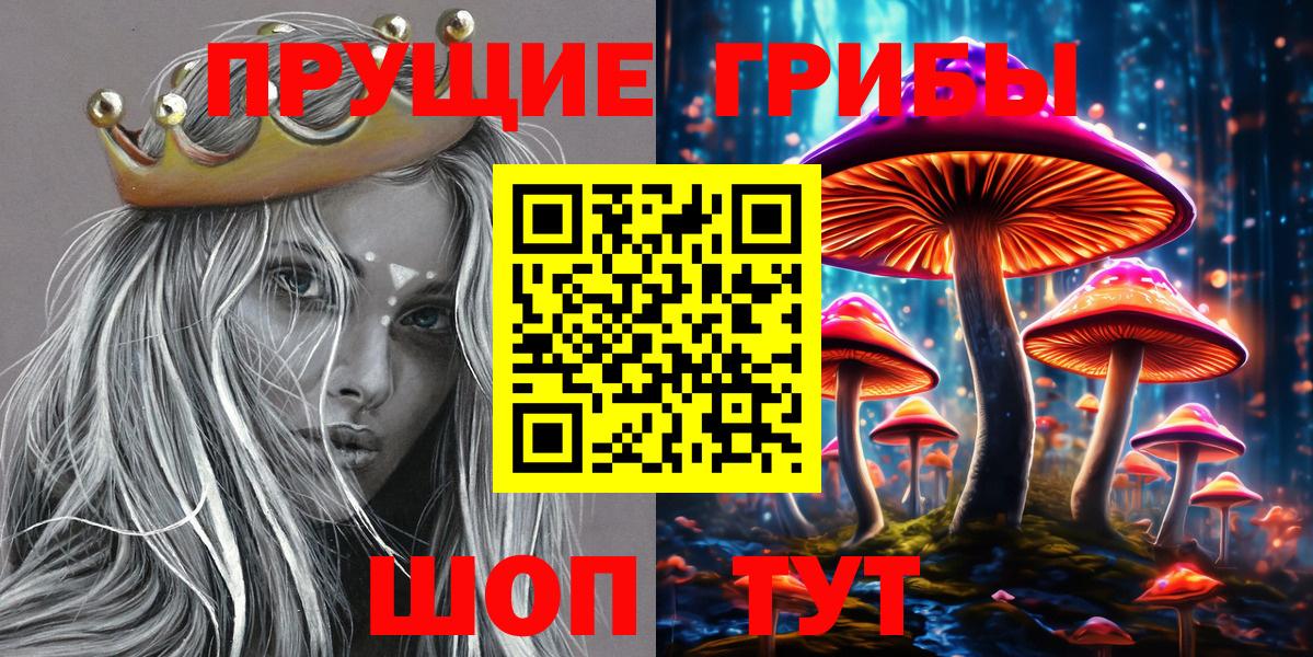 Псилоцибиновые грибы мицелий Екатеринбург