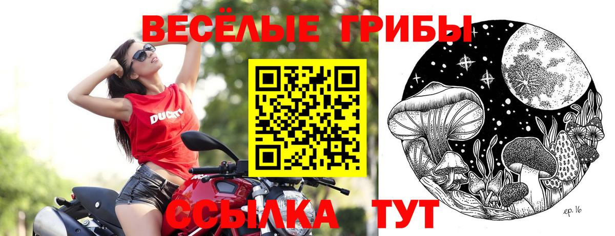Екатеринбург  Галлюциногенные грибы GOLDEN TEACHER  Псилоцибиновые грибы Psilocybe  Вход с VPN 